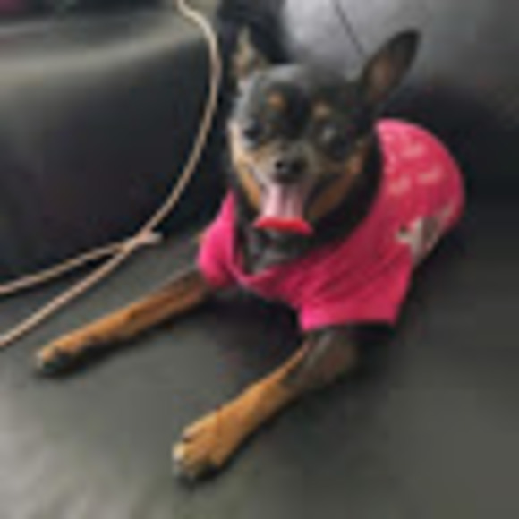 Meet your Posher, Valora - Picture 1 of 1